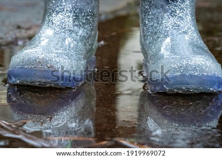 The sparkly blue rainboots of a lttle girl standing in a puddle after a rain shower. Royalty-Free Stock Photo #1919969072