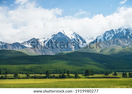 Sunny mountain scenery with vivid green forest on hill and snowy mountains in sunlight in low clouds. Scenic alpine landscape with snow mountains tops in sunlight in cloudy sky in changeable weather.