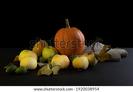 Still life of vegetables, fruits and burlap. A late harvest of pumpkins, apples, pears and feijoa on a dark background. Concept: rustic style, photo for the interior of the room in a frame on the wall