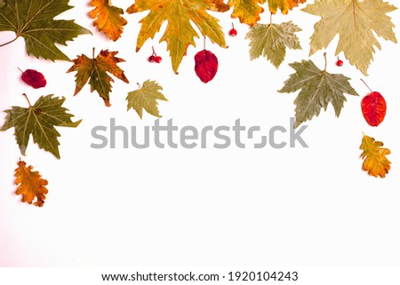 Autumn frame with falling leaves . Autumn leaves border. Colorful autumn illustration. Autumn falling leaves picture. Colorful falling leaves illustration. High quality photo  Royalty-Free Stock Photo #1920104243
