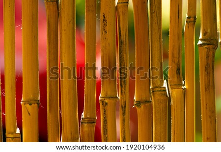 Bamboo crafts for room dividers and room backgrounds