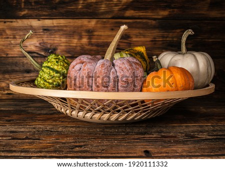 Kogigu Japanese variety of butternut squash, Baby Boo and other types of edible and decorative gourds and pumpkins in a basket.