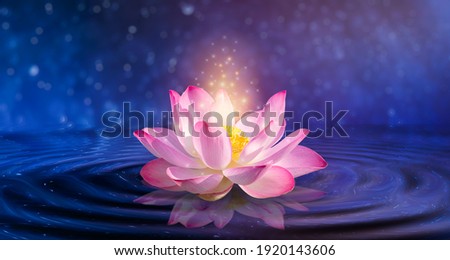 lotus Pink light purple floating light sparkle purple background Royalty-Free Stock Photo #1920143606