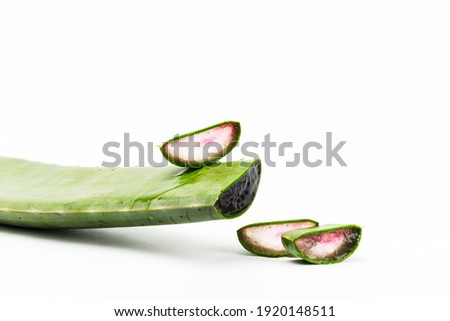 natural aloe vera cut into pieces on white background
