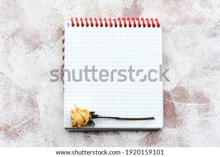 A clean notepad for writing on a light, delicate background and dry flowers and herbs. Stationery soft background. Top view, close-up, and copy space.