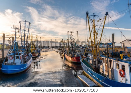 Fishing boats and shrimp boats in the old fishing port of Dorum-Neufeld. East Frisia in Lower Saxony in Germany Royalty-Free Stock Photo #1920179183