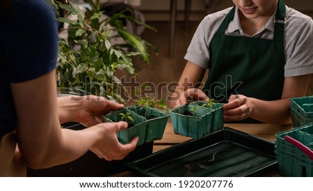 Close-up of an unrecognizable woman and child planting tomato seedlings together at home. Mom and son take care of tomato seedlings. Transplanting seedlings