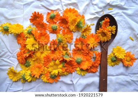 yellow and orange marigold flowers on a white canvas and in a wooden spoon.  medicinal plants and folk remedies