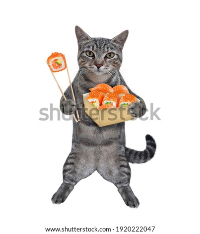 A gray cat is eating sushi with red caviar using chopsticks from a paper box. White background. Isolated.