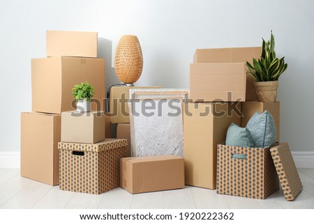 Cardboard boxes, potted plants and household stuff indoors. Moving day Royalty-Free Stock Photo #1920222362