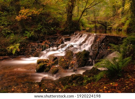Spectacular waterfall in deep forest