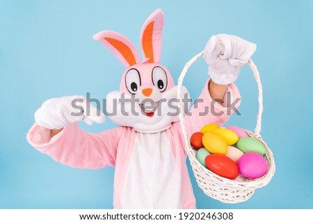 Easter bunny or rabbit or hare with basket of colored eggs, shows thumb finger up, having fun, dancing, celebrates Happy easter. Easter rabbit isolated on blue background Royalty-Free Stock Photo #1920246308