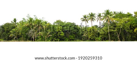 group green tree isolate on white background Royalty-Free Stock Photo #1920259310