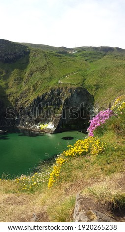 Cliffs and greenery at the Carrick-a-Rede Rope Bridge in Northern Ireland