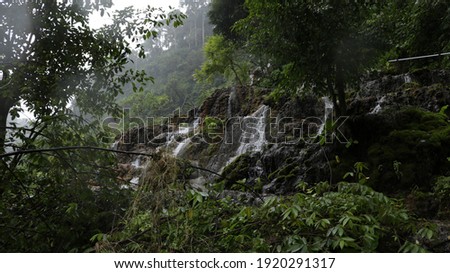beautiful nature forest of Tetes' cave waterfall