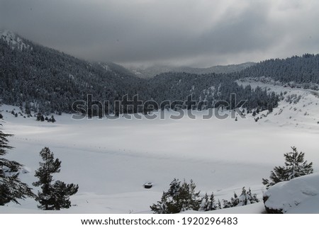 snow, winter, nature and landscape