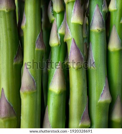 Macro view of asparagus stalks (Asparagus officinalis).. Royalty-Free Stock Photo #1920328691