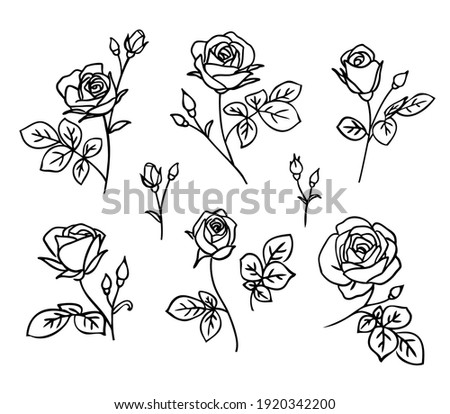 Set of decorative fresh blossoming rose silhouette with leaves isolated on white background. Hand drawn outline flower icon. Vector stock illustration