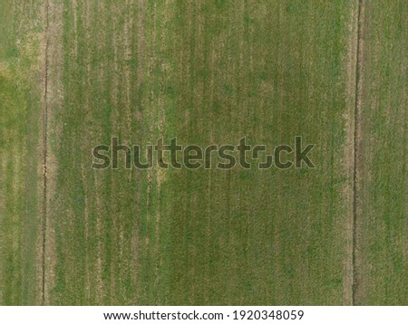 High perspective picture of a natural grass field took from a drone, usage: background, texture, wallpaper, pattern...