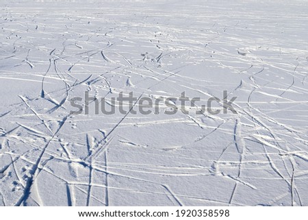 View at a frozen lake during winter with lots of ice skating tracks