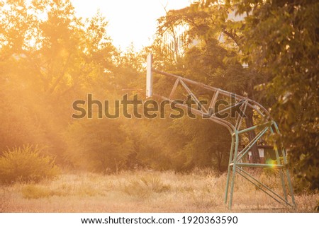 basketball court overgrown with grass in the rays of the sunset