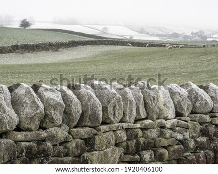 A winter traditional landscape scene in Yorkshire showing a dry stone wall, fields and sheep in the background. Snow topped Yorkshire hills.