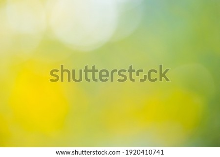 Abstract blurred nature background with bokeh for creative designs. Green leaves bokeh out of focus background from nature forest. 