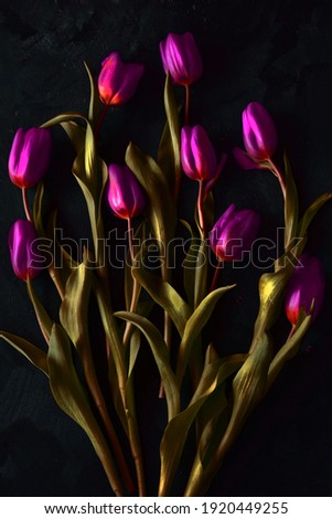 Picture of purple tulips on a black background. A beautiful composition