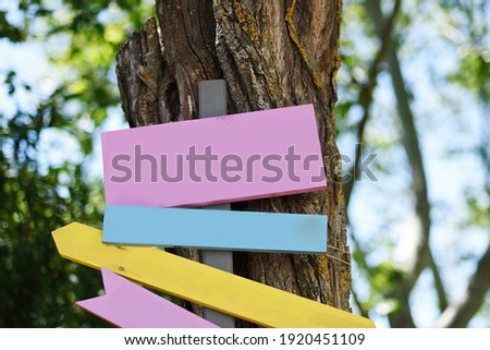 Handmade colorful wooden signs hanging in a tree