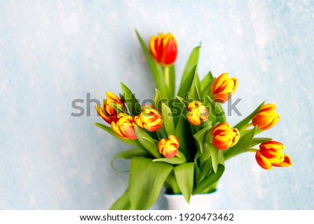Beautiful Blank Card for Easter, March 8, valentines day, Mothers day. Red and yellow tulips in a white jar. 