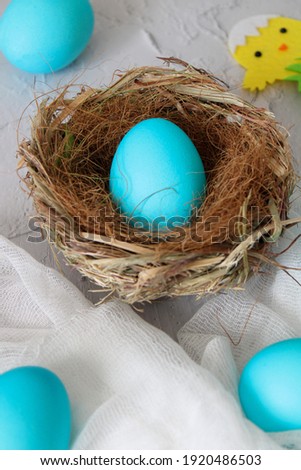 Easter background with colorful eggs in a nest on a white background. Easter basket with eggs on a white background. 