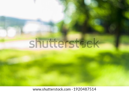 summer park blurred background in the sun Royalty-Free Stock Photo #1920487514