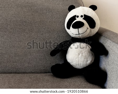 Teddy panda bear sitting in the couch. Picture of a teddy bear in a grey couch. Children toy in a living room.