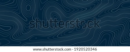 Topographic map. Geographic mountain relief. Abstract lines background. Contour maps. Vector illustration. Royalty-Free Stock Photo #1920520346