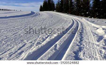 ski trail in the snow
