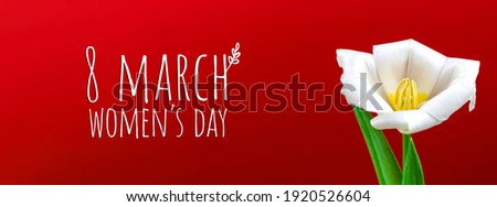 Women's Day 8 march background composition with text inscription, with white tulip on red, creative spring banner with flower photo
