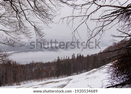 Balmberg In Winter Over The Fog