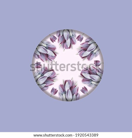 Wreath frame of purple tulip flowers. Greeting card banner. Floral concept. Flat lay. 