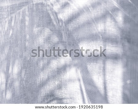 flower petals in black and white blurred background ,soft selective focus ,macro and old vintage style photo for card design ,abstract background ,gray colour for letter ,blurred concept ,free space