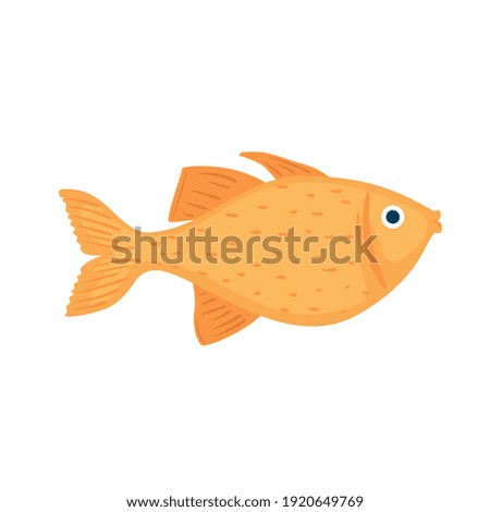 yellow fish swimming sealife animal vector illustration design