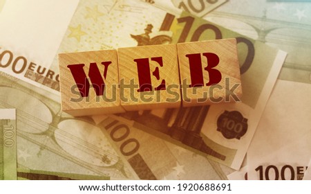 Web word on wooden cubes put on 100 Euro money bills. Online Business concept