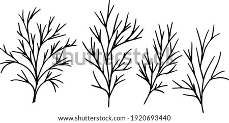 simple drawing of twigs in vector. dill leaves drawing. Royalty-Free Stock Photo #1920693440