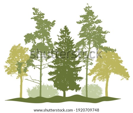 Spring season, silhouette of spruce trees, pine, bush, other trees. Beautiful nature, woodland. Vector illustration