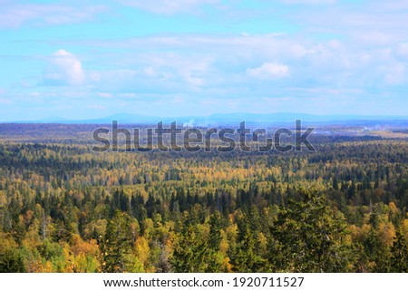 Autumn colorful forest to the horizon