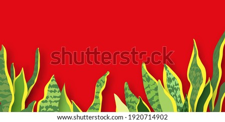 Snake Plant. Houseplant. Green Leaves of Sansevieria trifasciata paper cut style.botanical nature. Spring and summer time. Homeplant. Red background.
