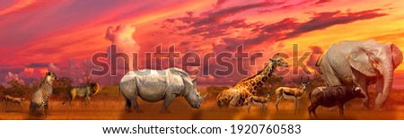 Banner panorama of Big Five and wild animals collage with african landscape at sunrise in Serengeti wildlife area, Tanzania, East Africa. Africa safari scene in savannah landscape.