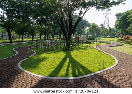 Green grass beside paver block and surounded by big trees