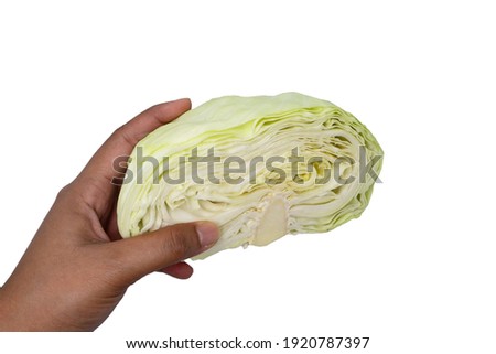Hand holding cabbage halves on white background.