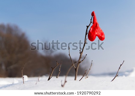 red ball in the form of heart on a tree in winter
