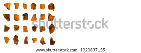 chaga mushroom. rows of large sliced pieces of dry birch tree fungus chaga isolated without shadow on a white background. concept of alternative natural medicine. regular pattern. banner